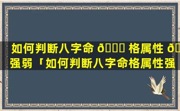 如何判断八字命 🐅 格属性 🐛 强弱「如何判断八字命格属性强弱的方法」